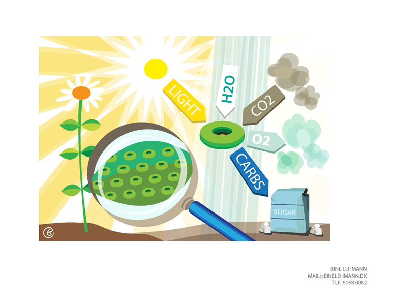 Jens & Ulla ville gerne have en lidt anderledes personlig invitation da de skulle giftes